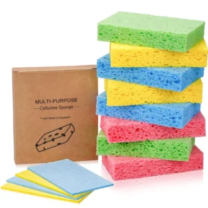 Ecologic Sponge